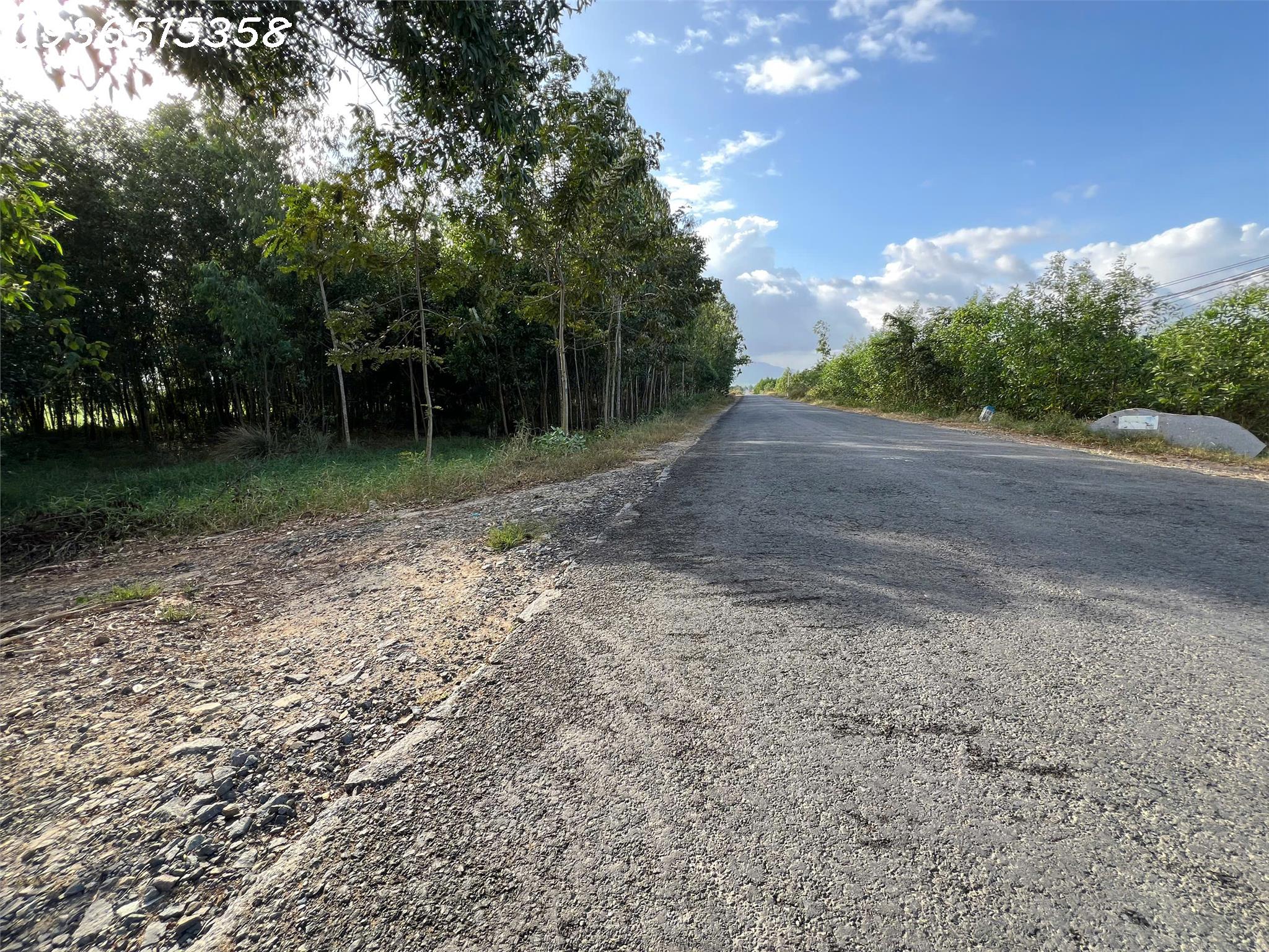 z7470869105339_d269a5019858a31f9e3611b9fa4cdeb0