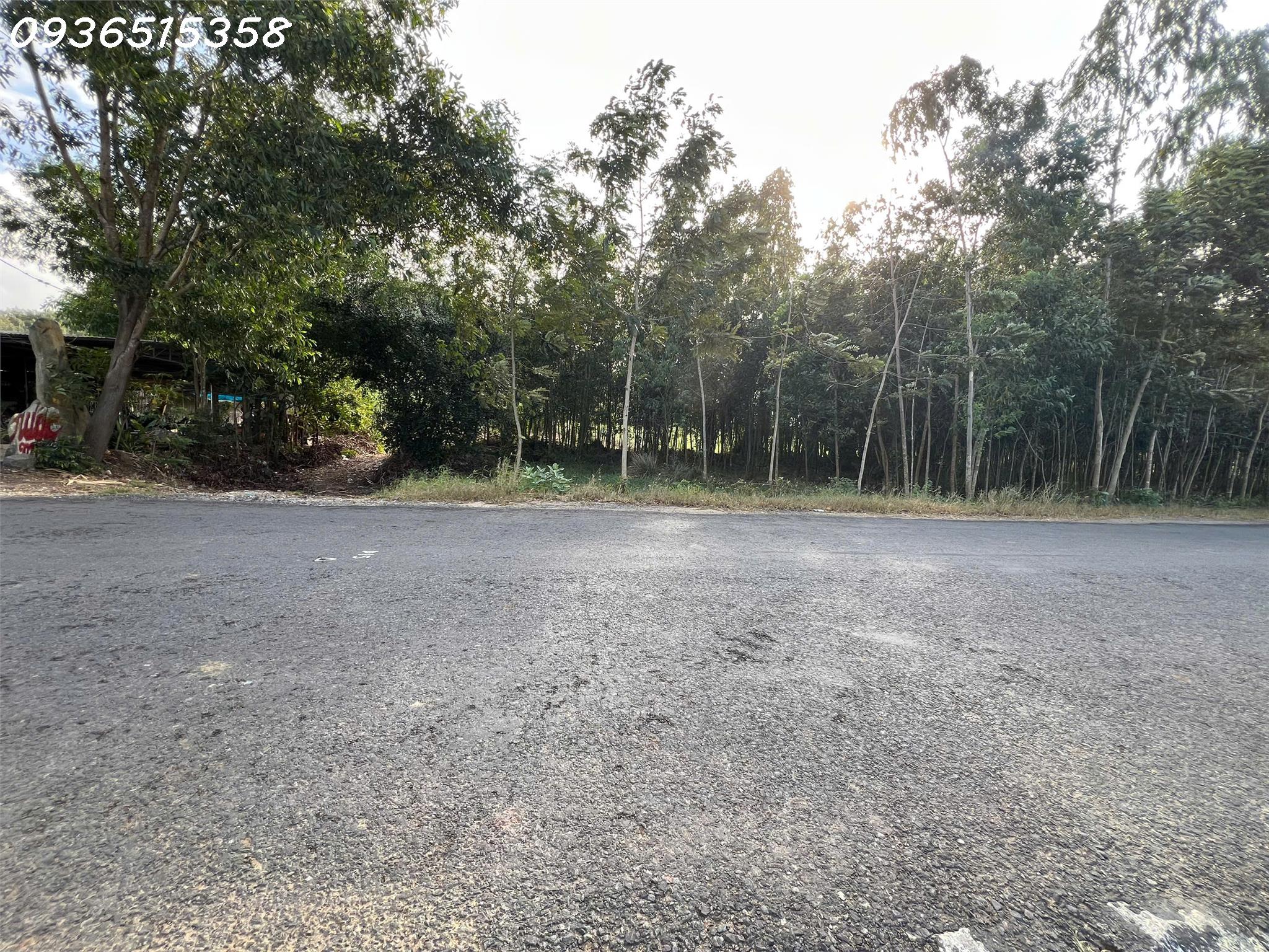 z7470870243126_456fc831377f5a500700f550a07b76fc