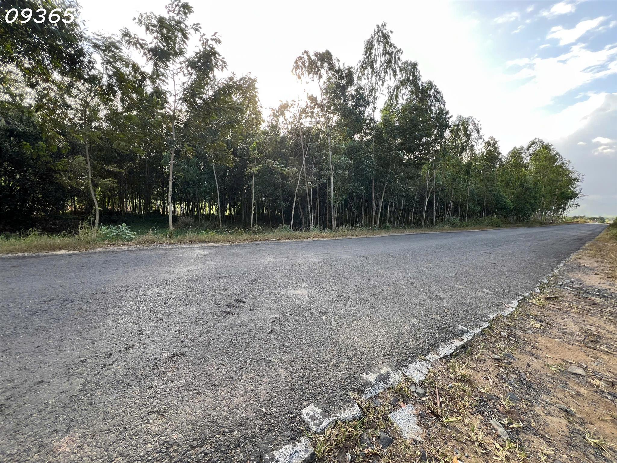 z7470870247445_5e9197c9a0f32bb69496adcbc81c3606