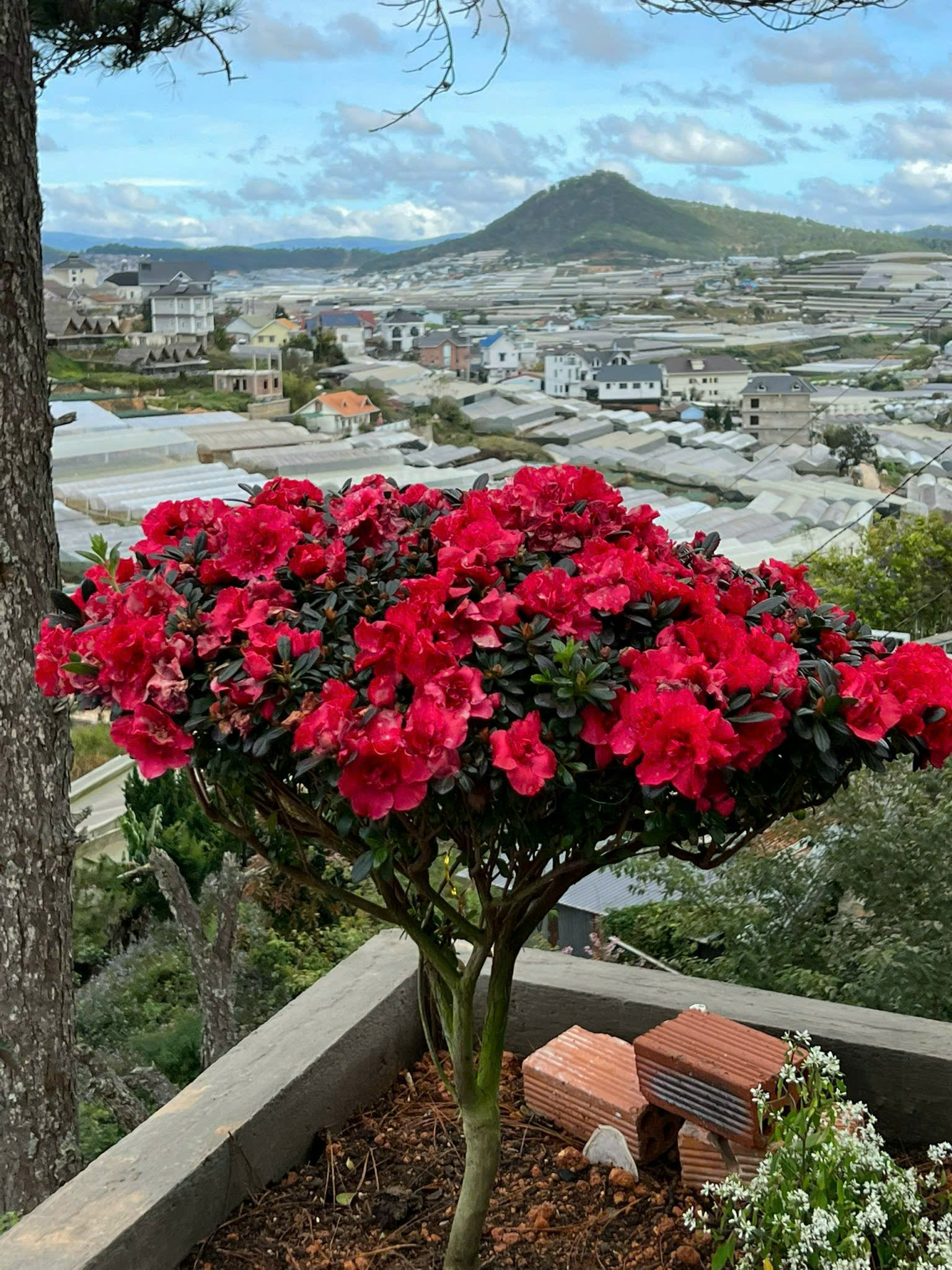 z7471481676406_e63943b53571975b23433b344bf74403