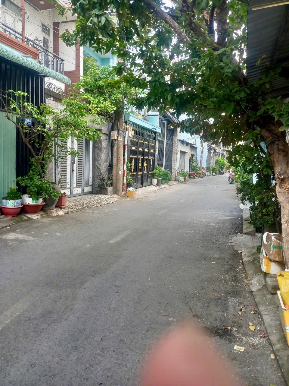 z7471525758412_618484d53112c2143a1cb8ee0509504d