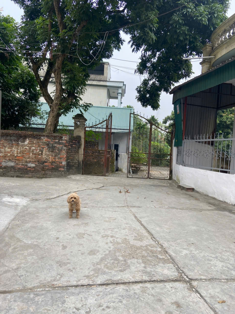 z7471929548670_3c27d066493b9a30c36556e1c9606c20