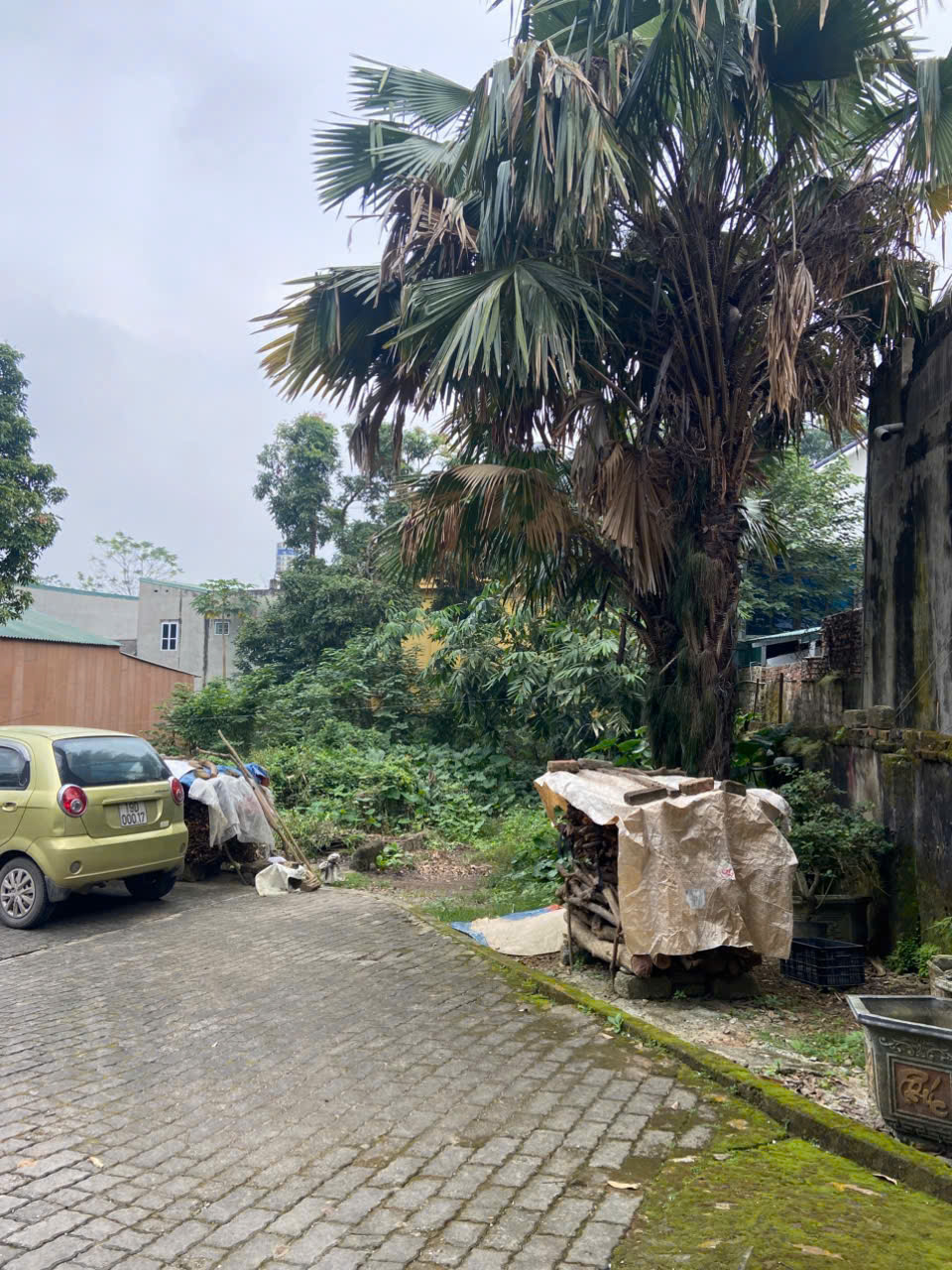 z7471929563165_59aec20af292518b9501346c81f76185