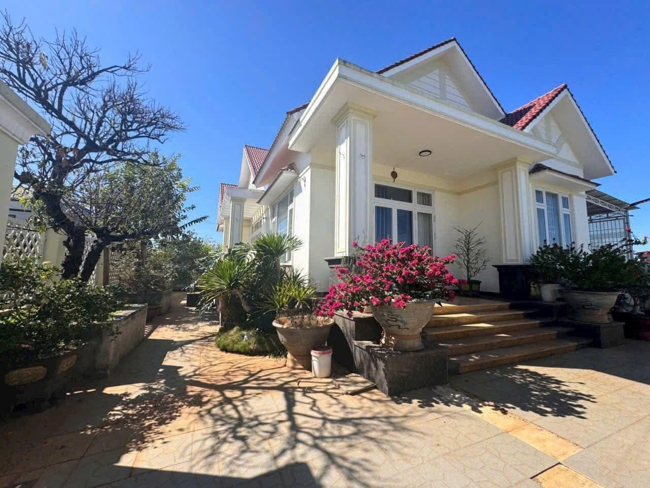 z7472219430215_a2f75ef052ba7d1297cba217210c8e74