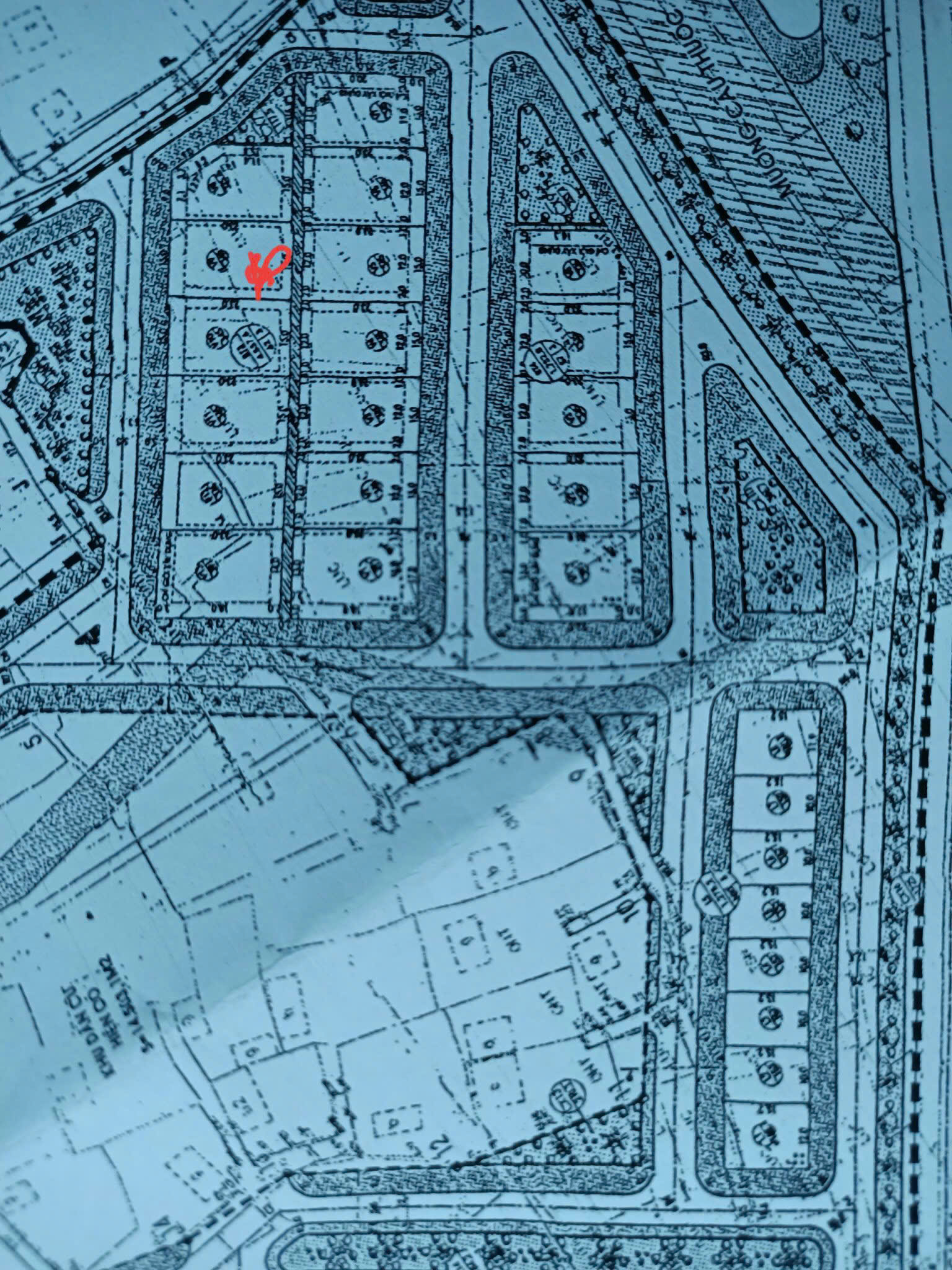 z7472641783723_75c06bf05bc81408366ca12ca7d216f9