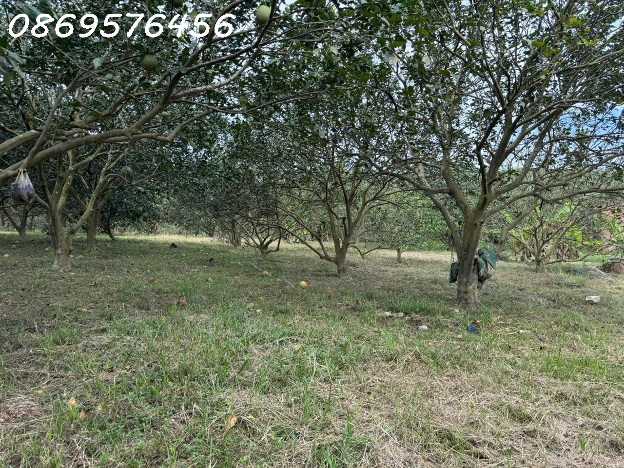 z7474013015889_652b6e8e2eb2de200faa6e6dd0305c68