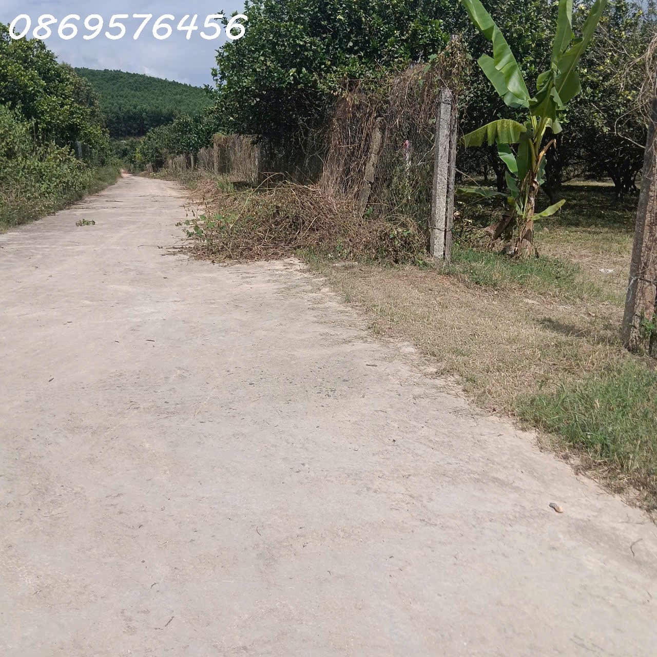 z7474013020969_8815126694423e8435fade2ea7edbb60