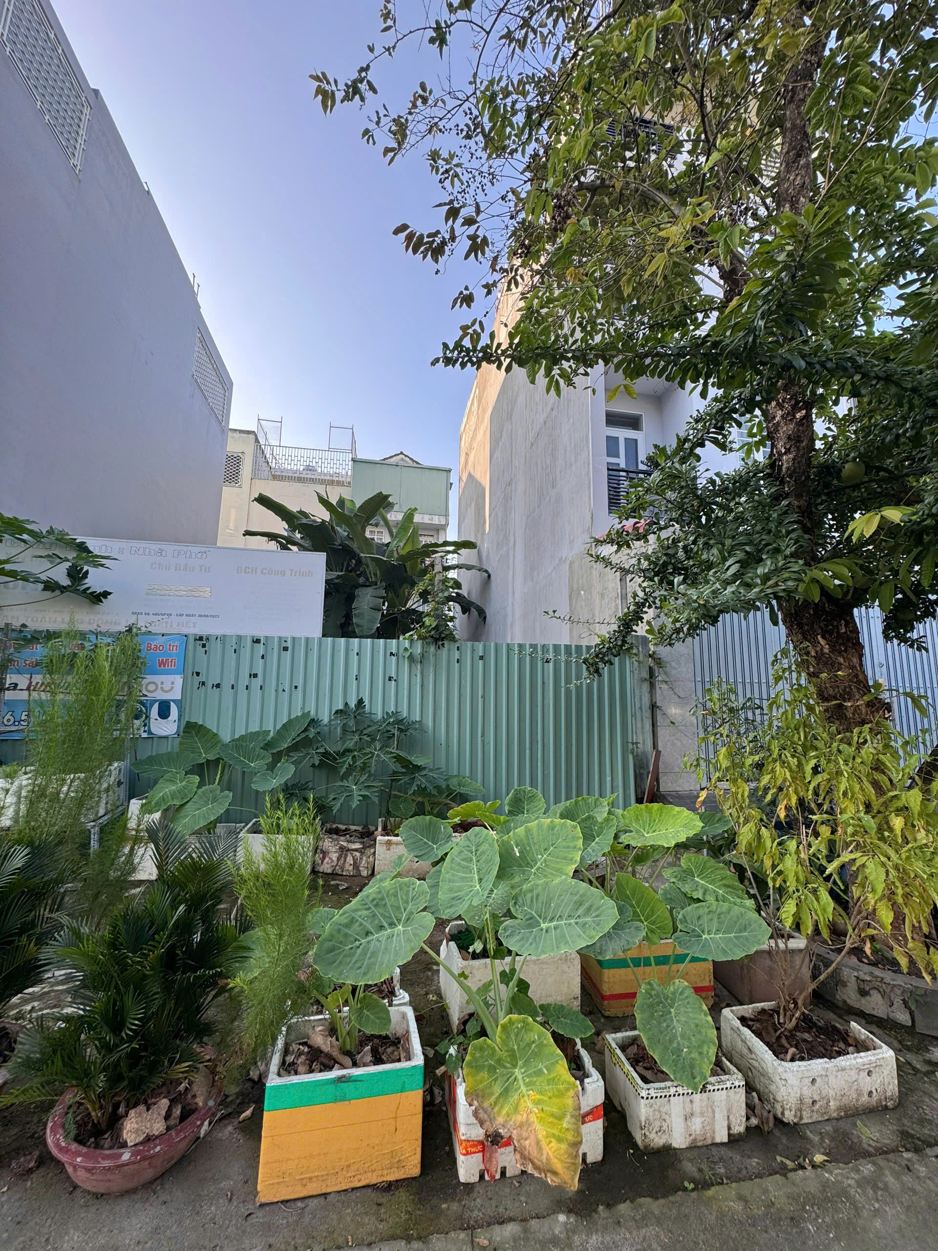 z7475147856278_337b7437da9c561766396b643c4126c3