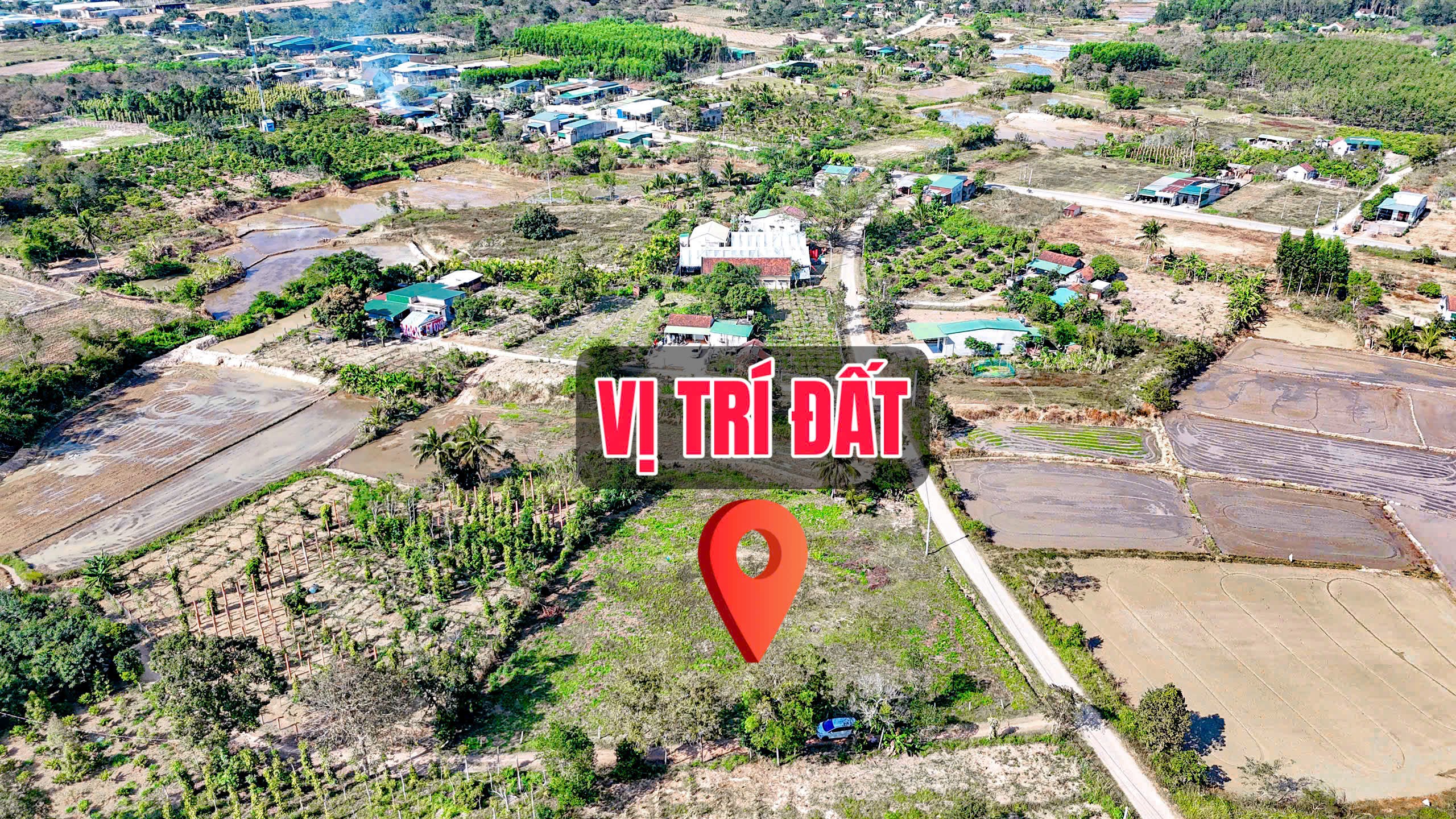 z7475358438994_d530ec91e19d7d1b5bf431687f322313