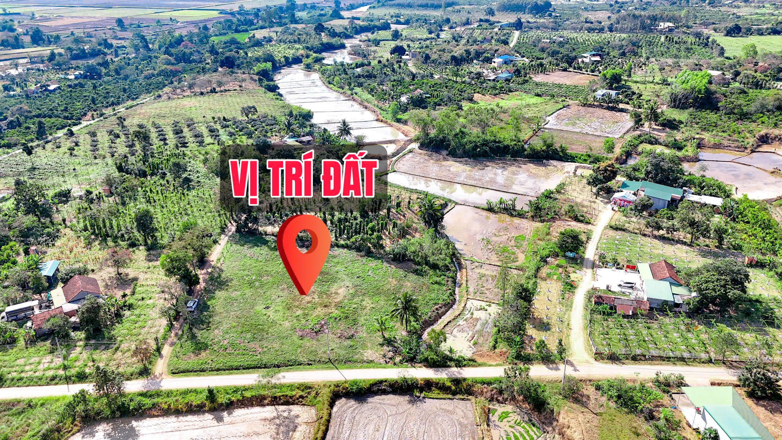 z7475358471105_53cbc997aff7b6c397564168c32b3df7