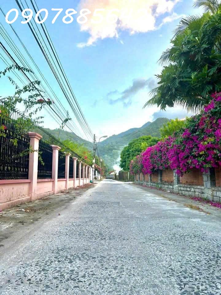 z7476232607140_ffea35b4284b665a41a269882dd6e028