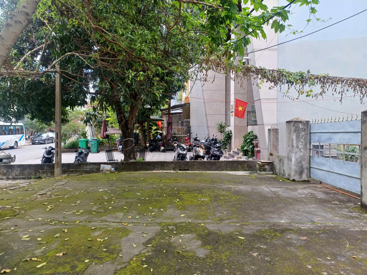 z7478375952248_b5235c9cc76c1c082892f0a2f206d151