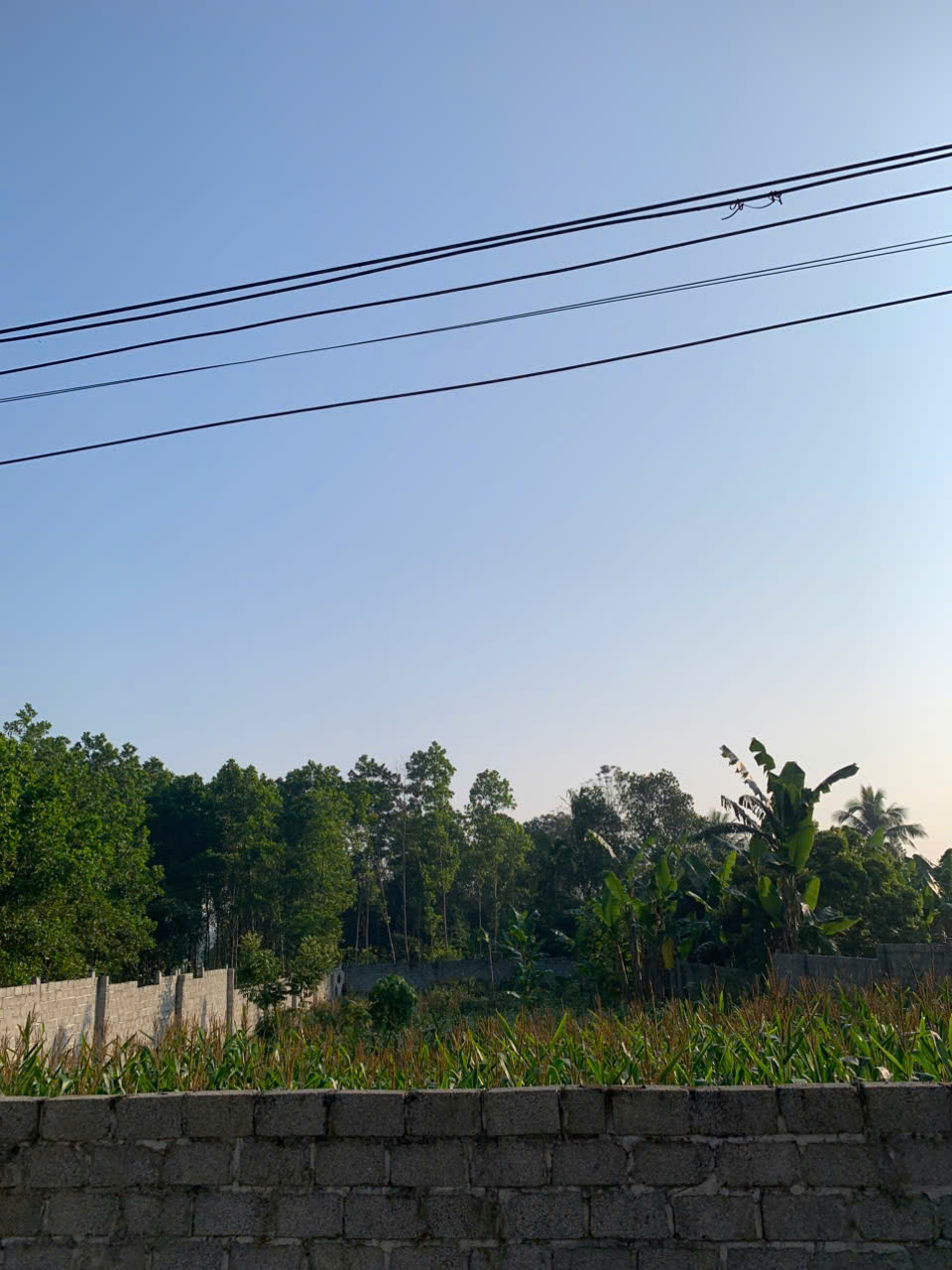 z7478632098823_03ad341faaed8772220f440dedc771c5