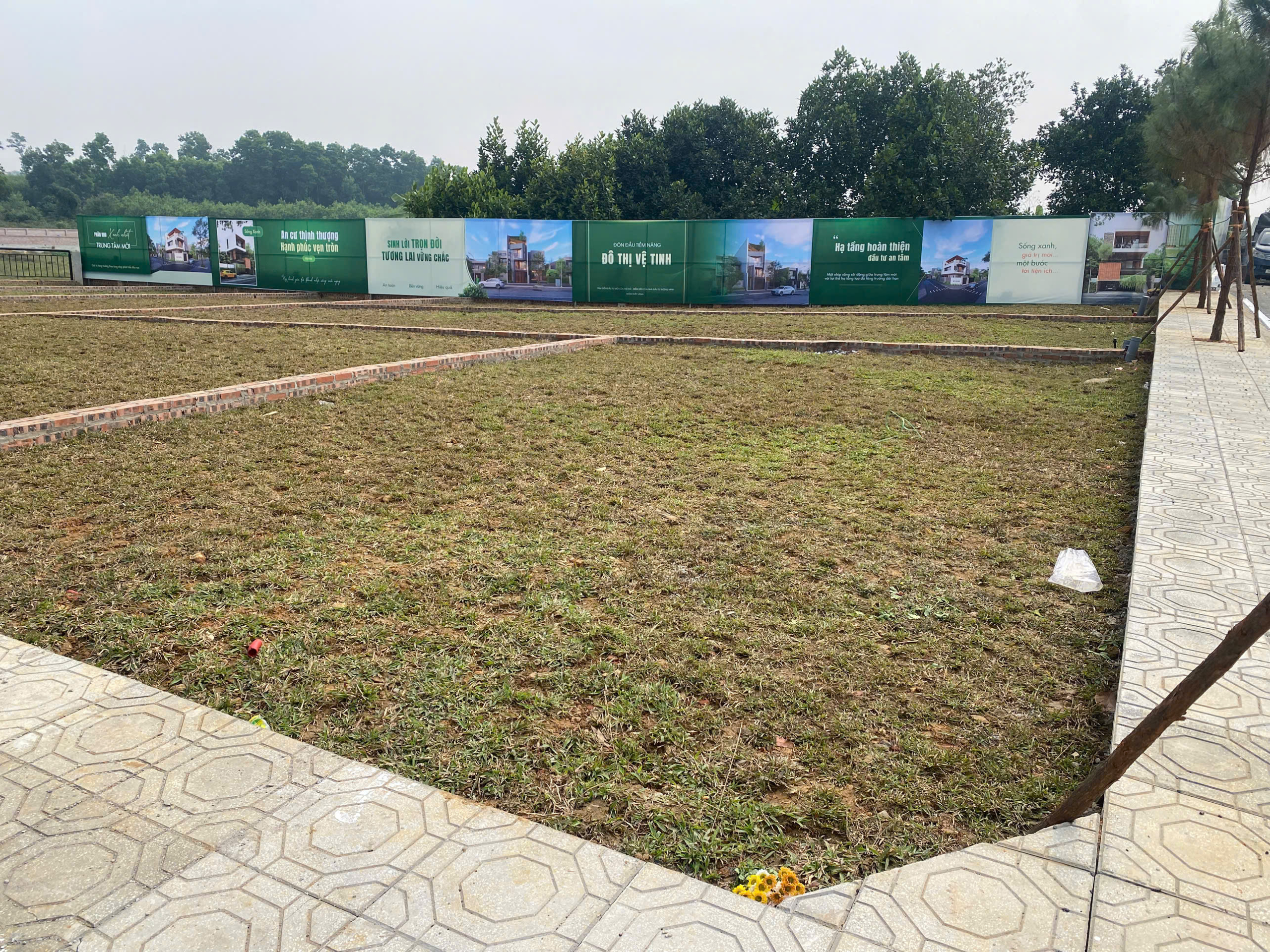 z7478973977219_edc1fe21b18f958b8bb563f5cb8da439