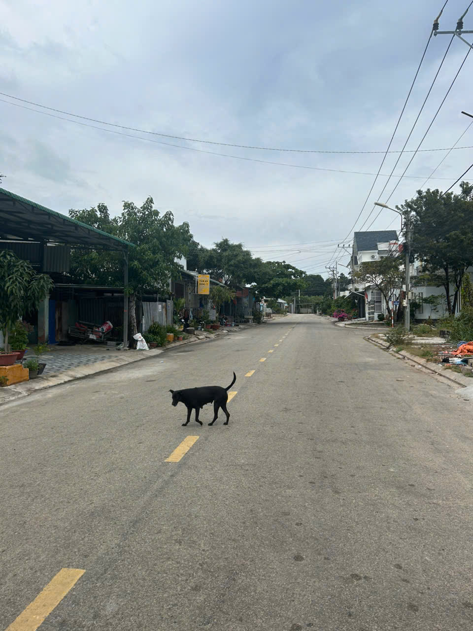 z7482595482486_19cd48f785e961a3c11ea7aa4a32c7d9