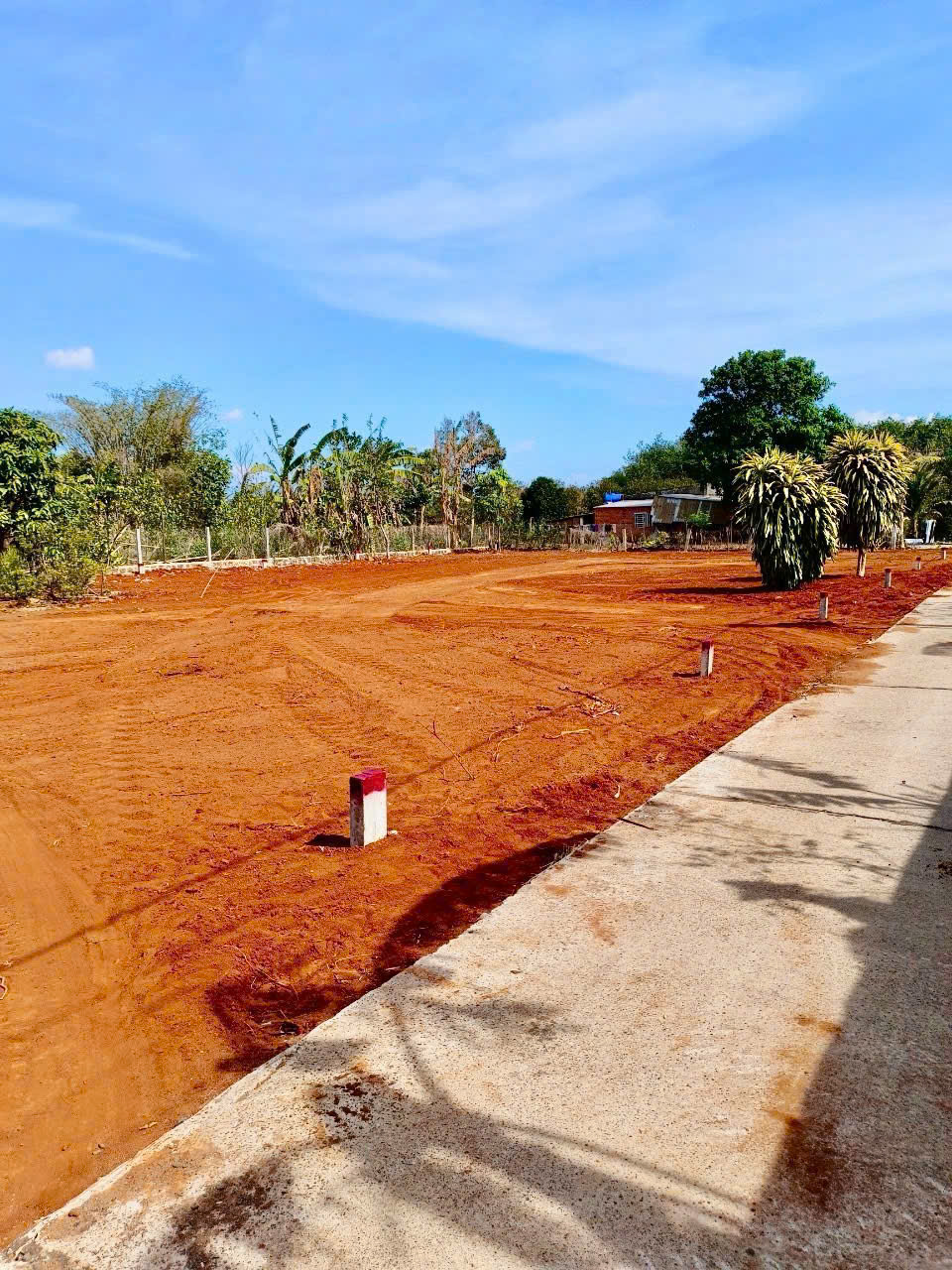 z7485489681933_e63379bb018f4c775eb357a401a9e1b7