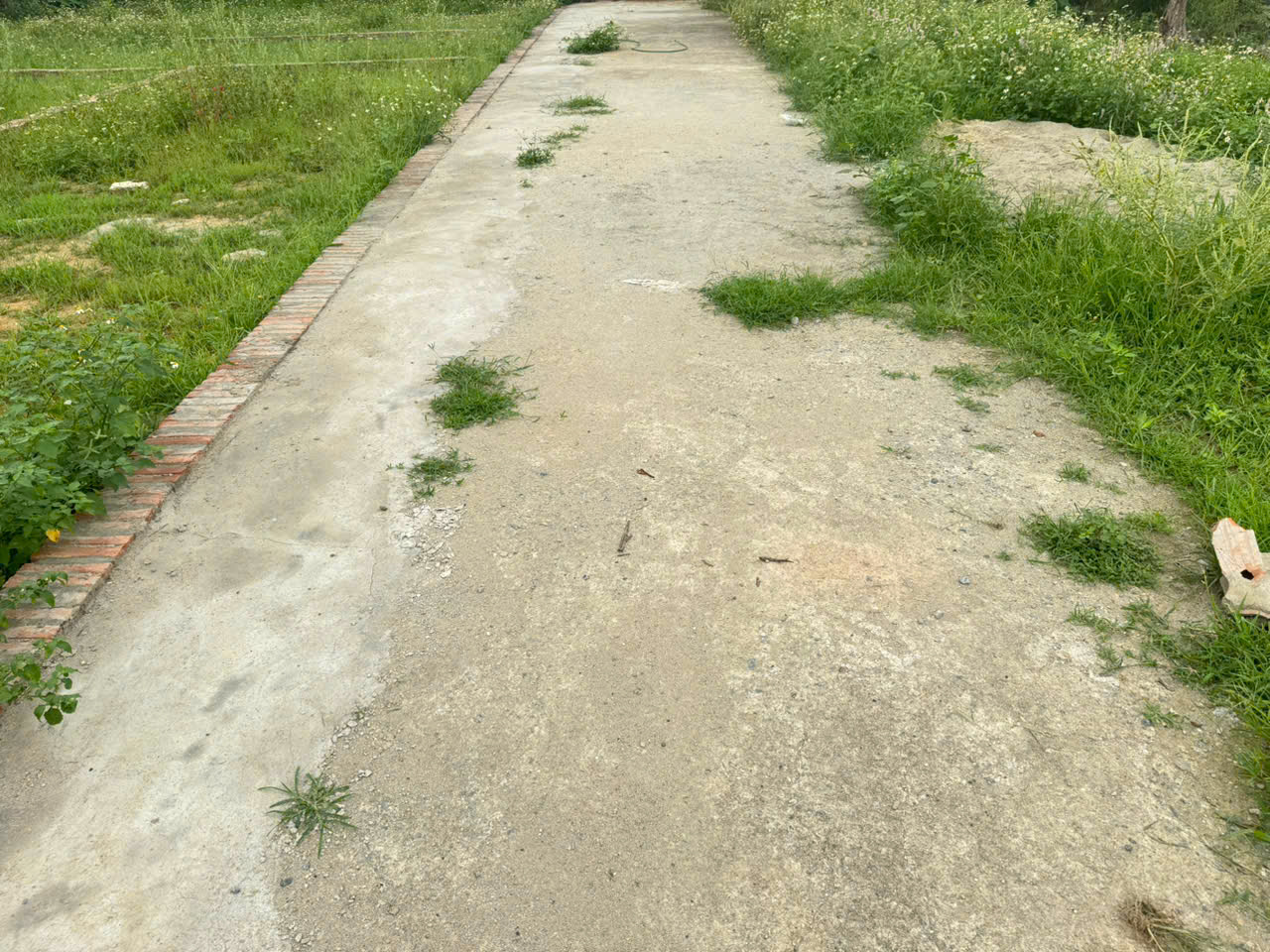 z7485778285113_e37d34187423ec7838f51f6a0ec8e303