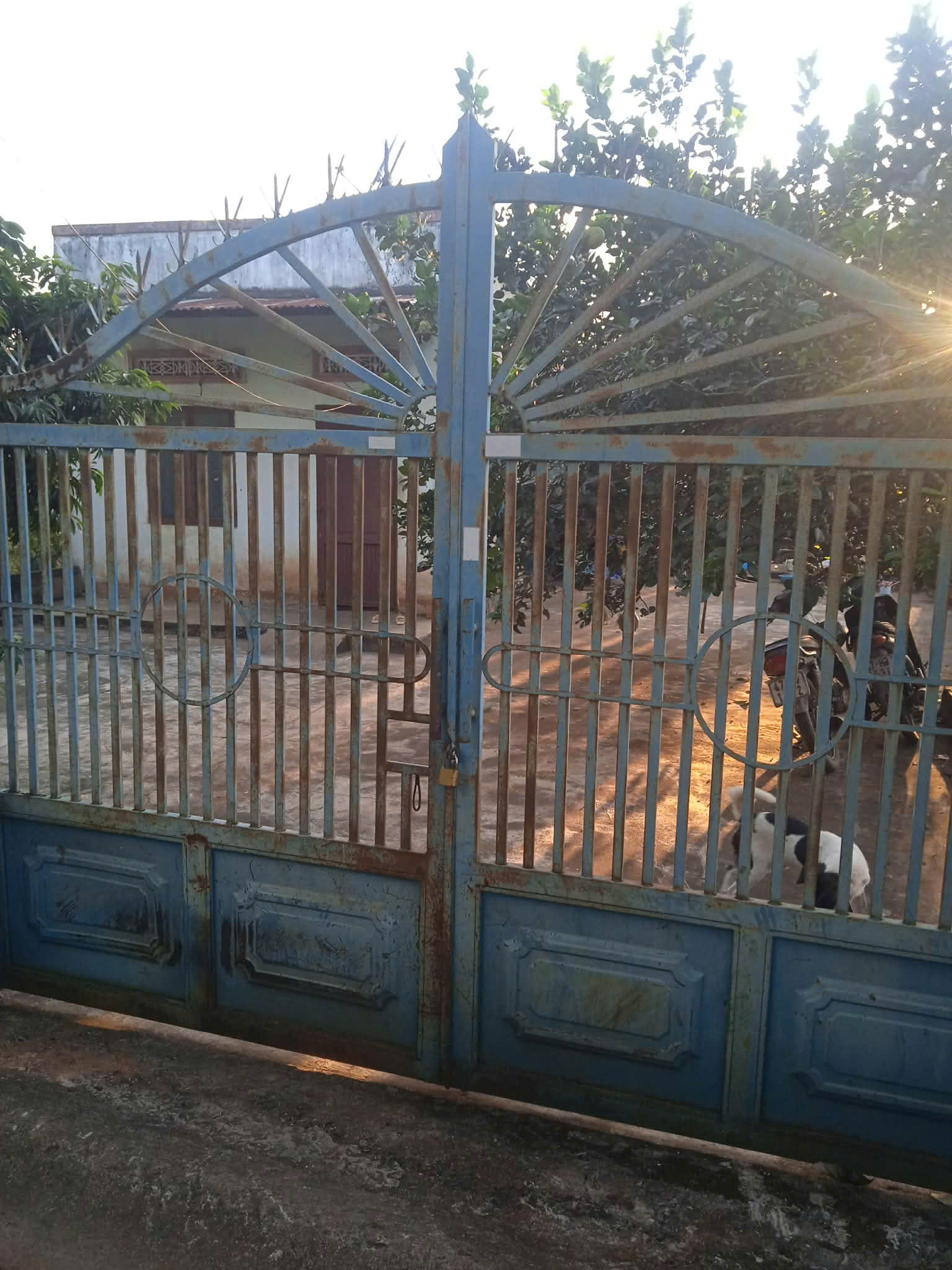 z7486947360448_0f869c1b222dd5fb2ba265c640e74881