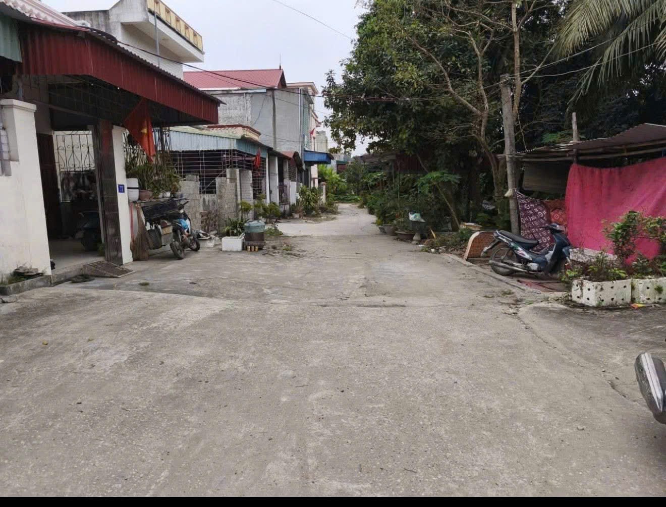 13616620332002884138