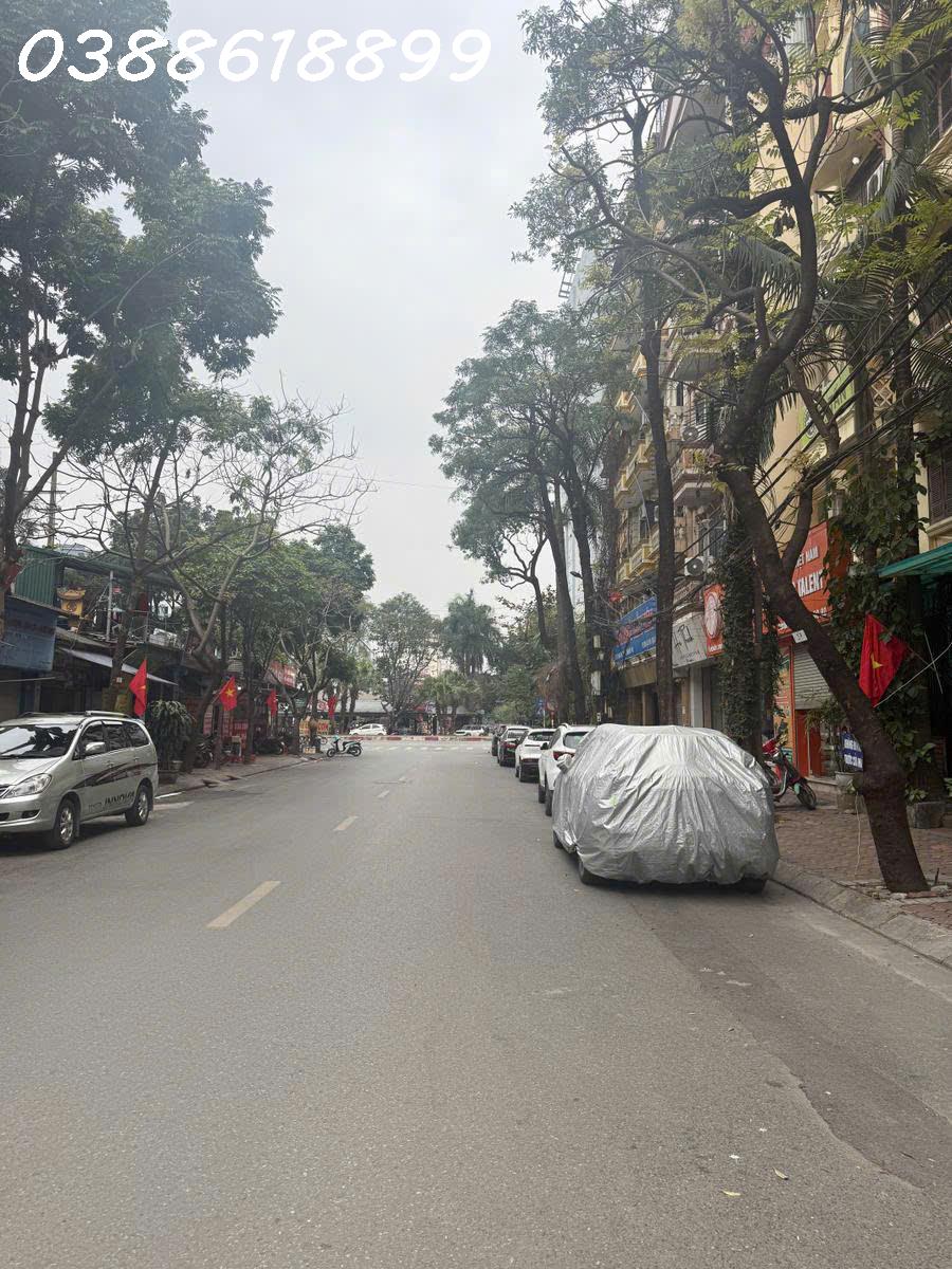 3838899241225859077 (4)