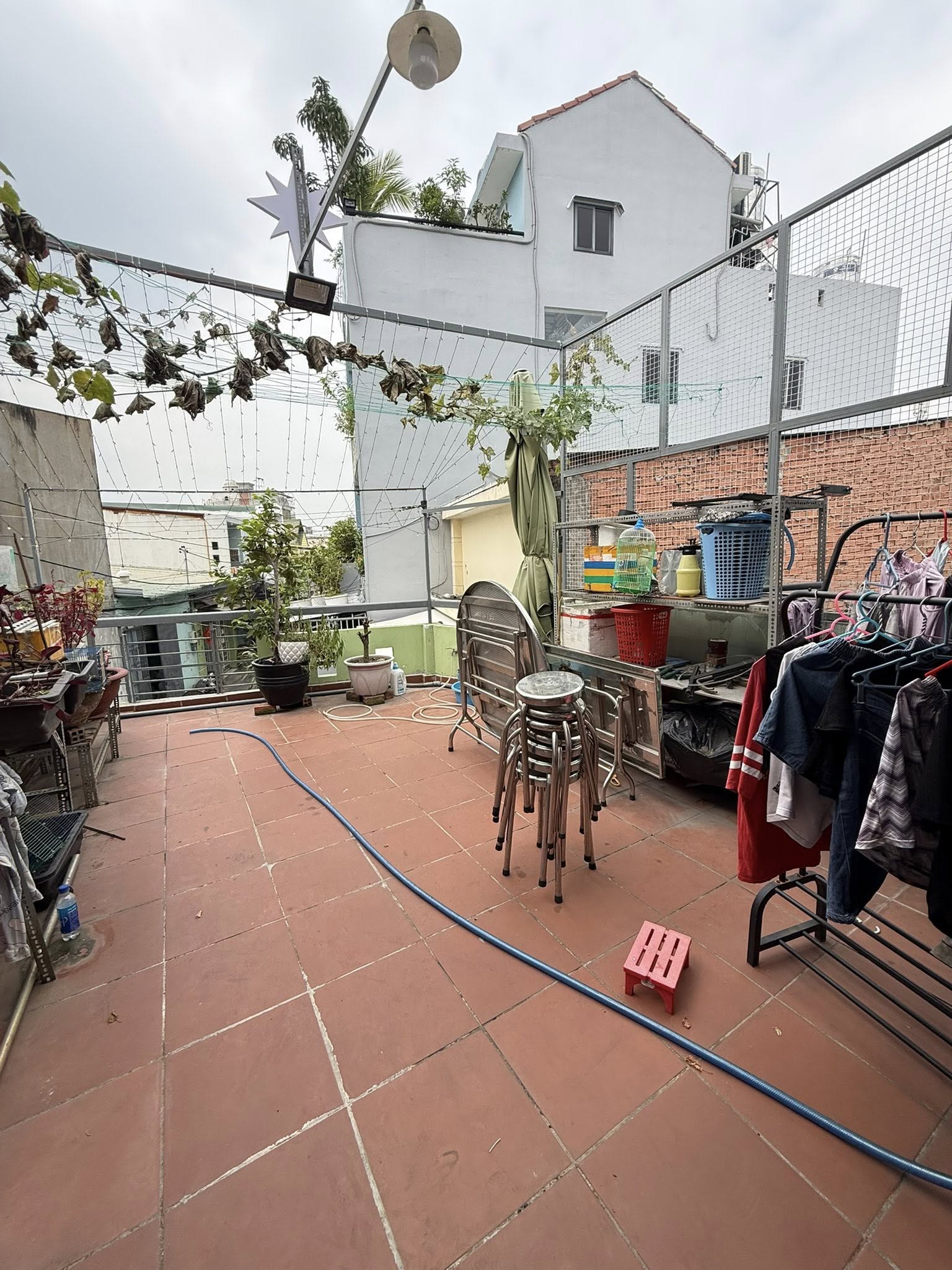 614902552_1587061742483959_2746803787203829272_n