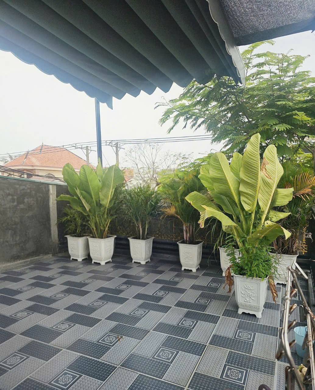 615162697_1303555405012769_1038520615728581634_n