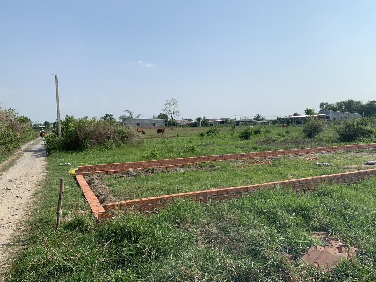 74cac892039c1d765d92c7ed04dbf49a