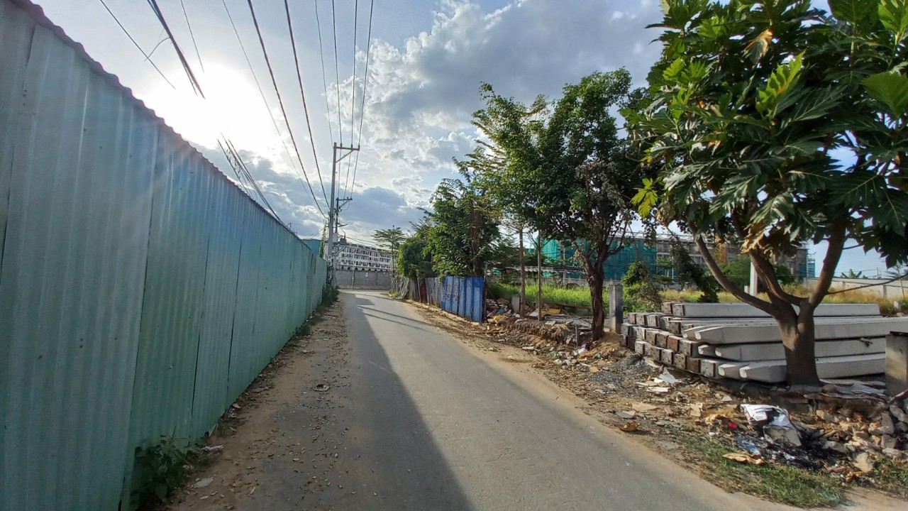 z3077241003672_af6f1156cc6301bd8cbecb4528691e09