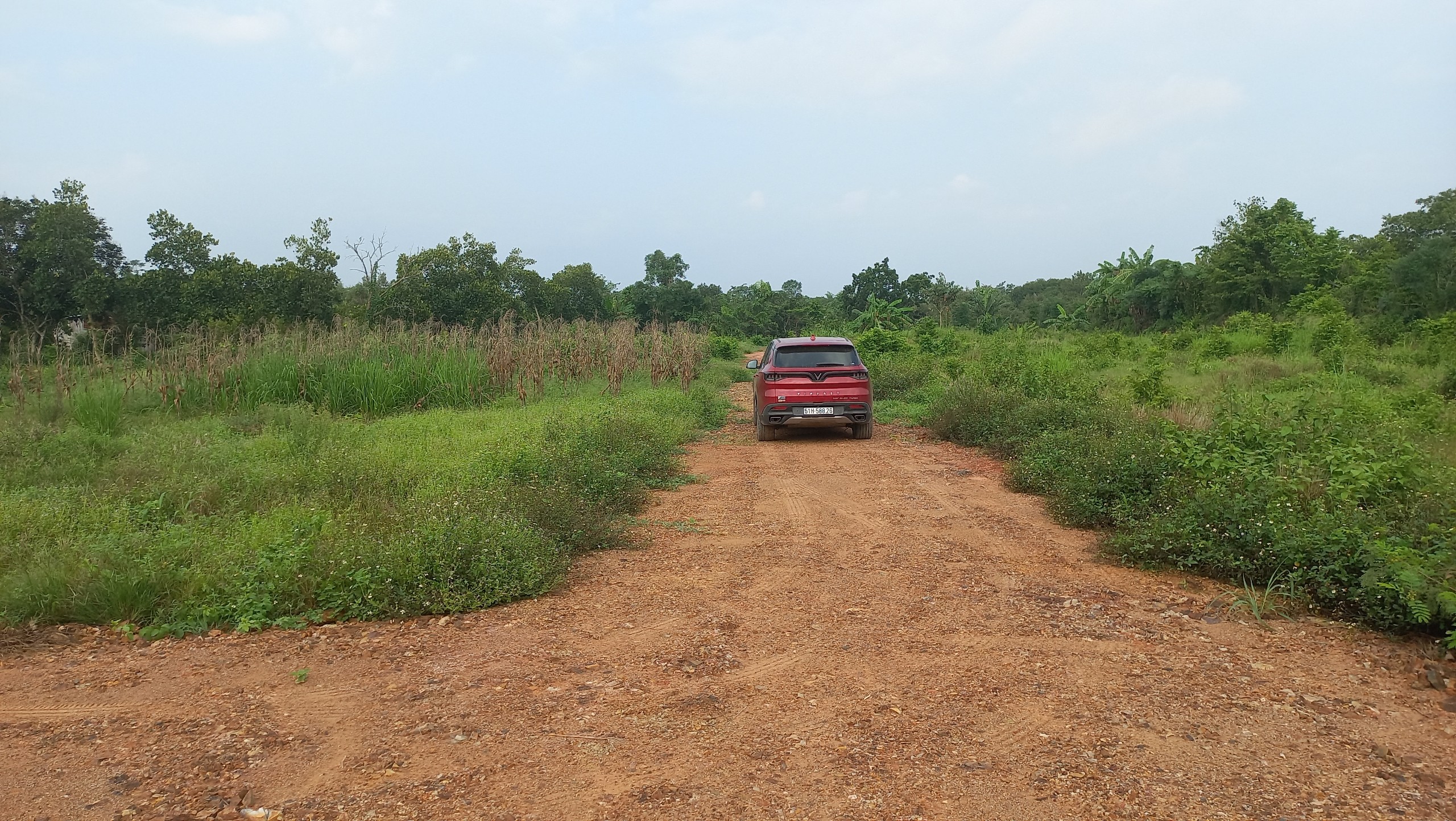 z3383585091358_98ff7a5b666845199b6d2618dfb75574