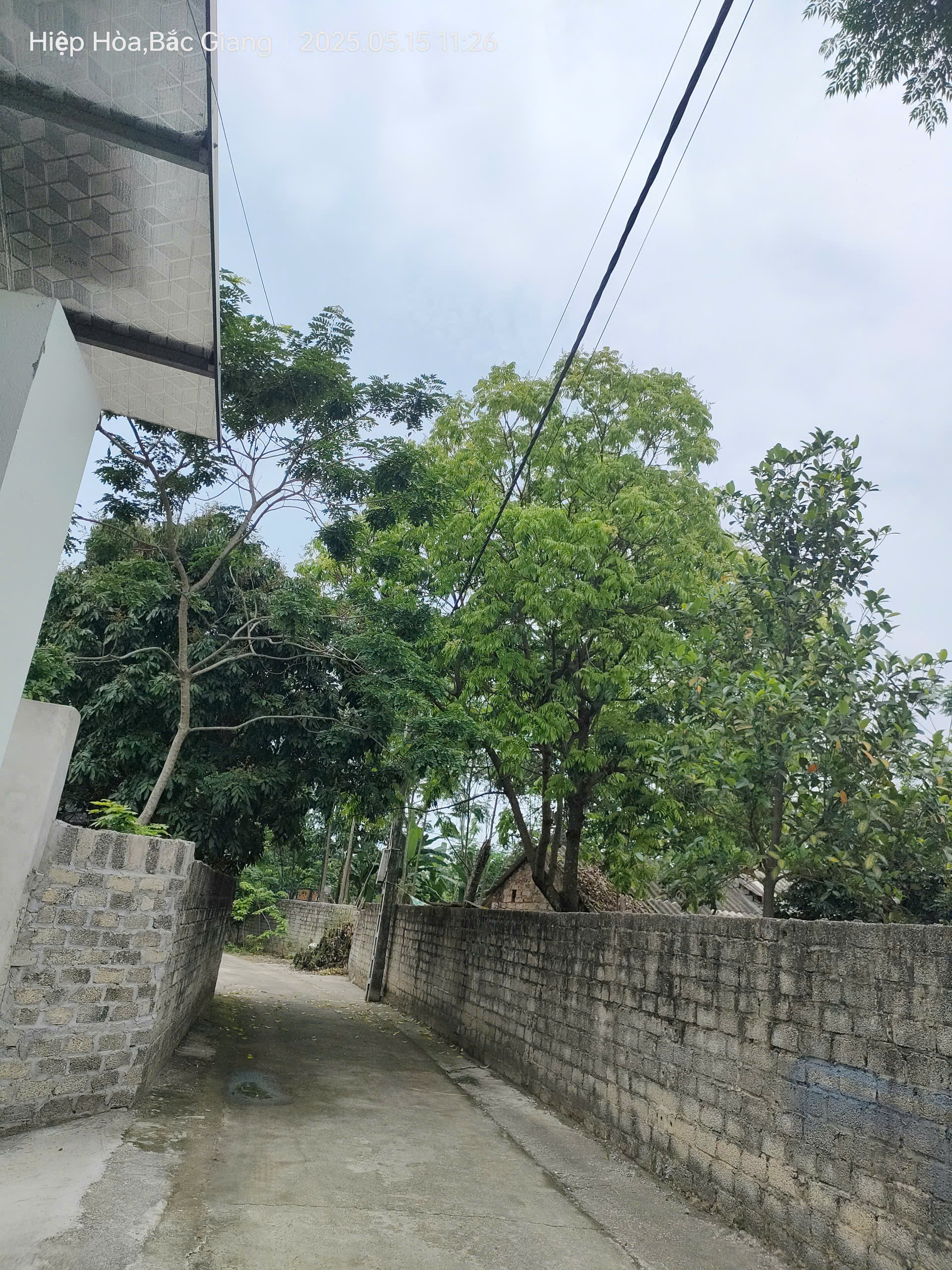 z6657191085076_6aa05a6e8bf3caca8abebf6e4aefd62b