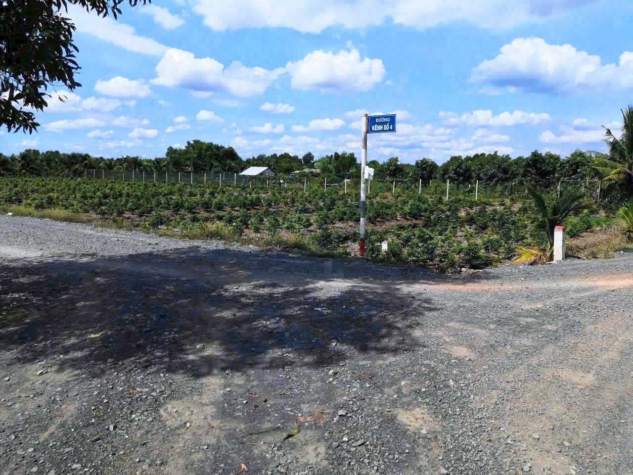 z7100983623256_f3a76b45ec84fdc3d605f33b2cbe50e9