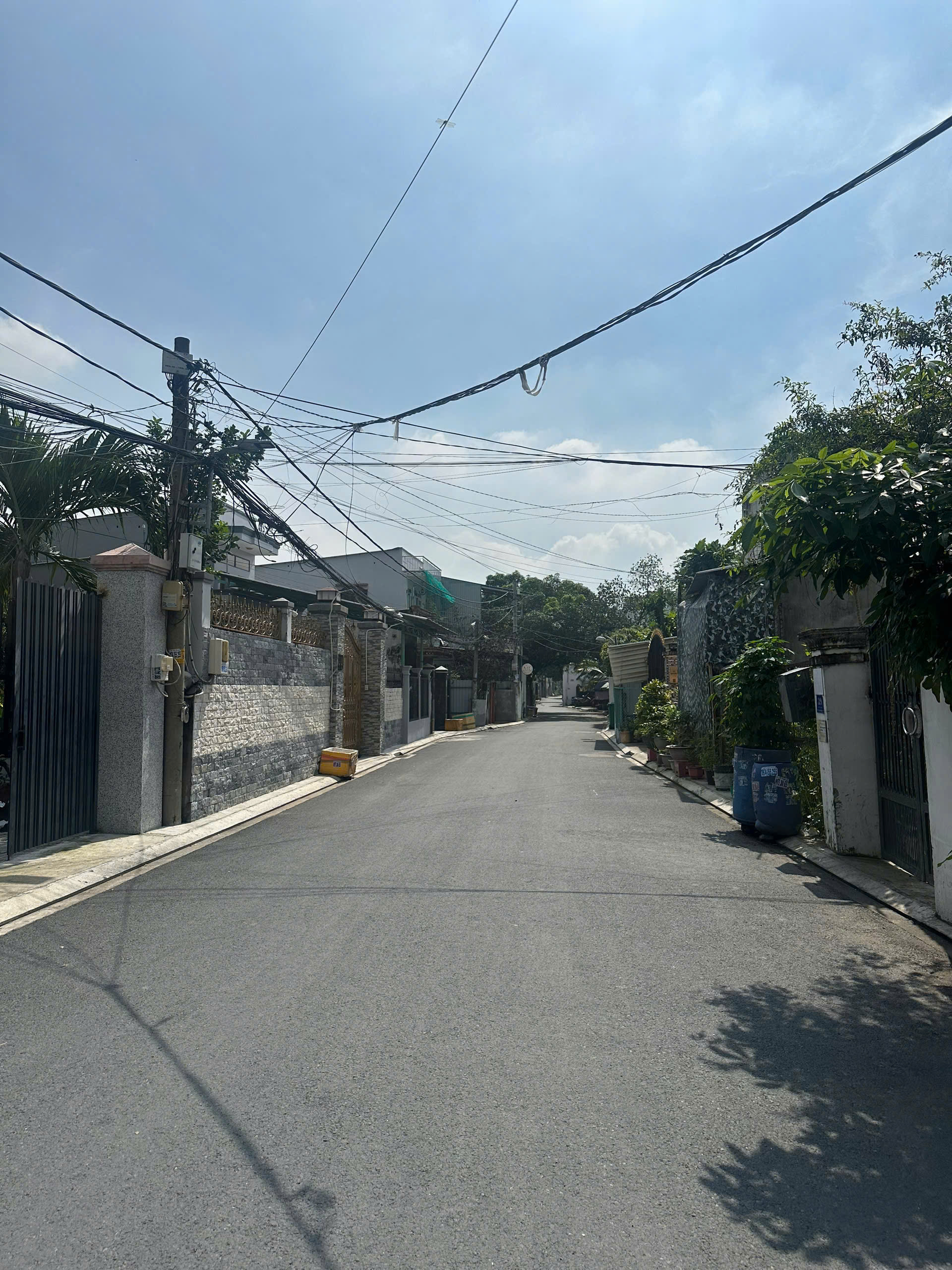 z7166695933355_e7f64a6f48958737c737d4a8dbd51f34