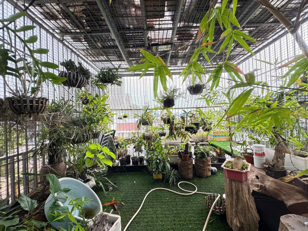 z7267105172117_d73f9829a530c1fc87561e8142ee702c