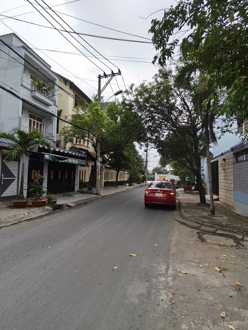 z7294053967569_e5c7216a420fa22fe4a2c7cafa94f42b