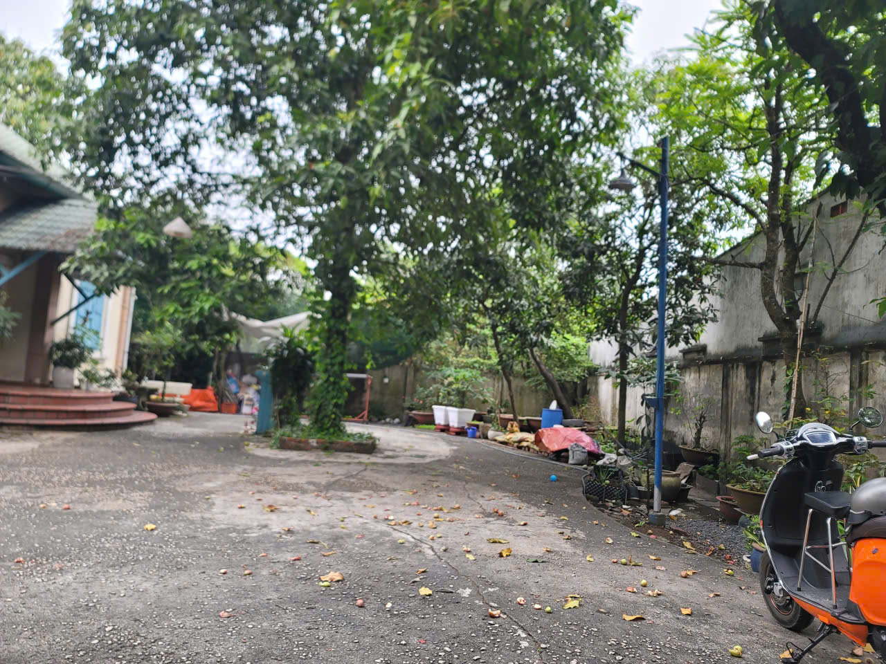 z7408756147106_d327735e94de24f95088f89a365846eb