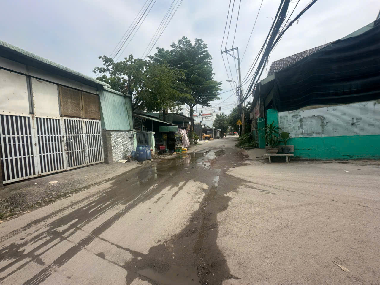 z7412080691758_8683b02ca911b050396d406bf4f7875b