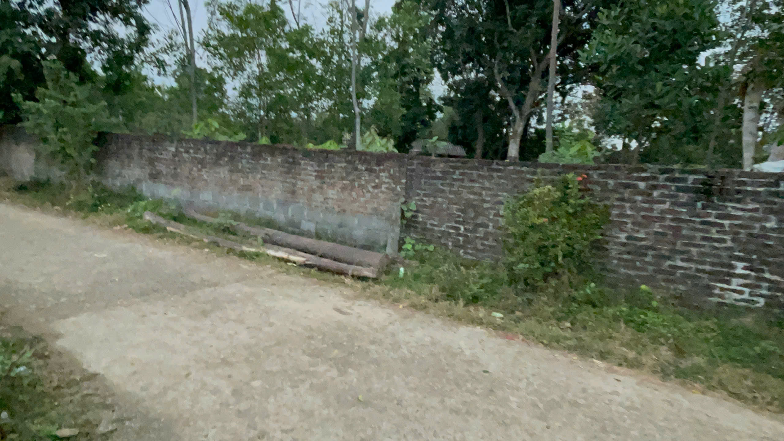 z7428743358626_8df6d1b99f8ec88b26c91cbe69d3938d