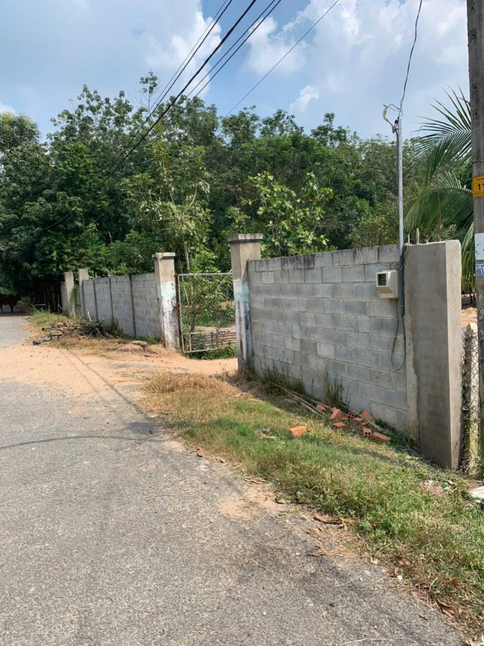 z7437342703713_ce4e9edeec397fecdaf6bb88f23d8ba1