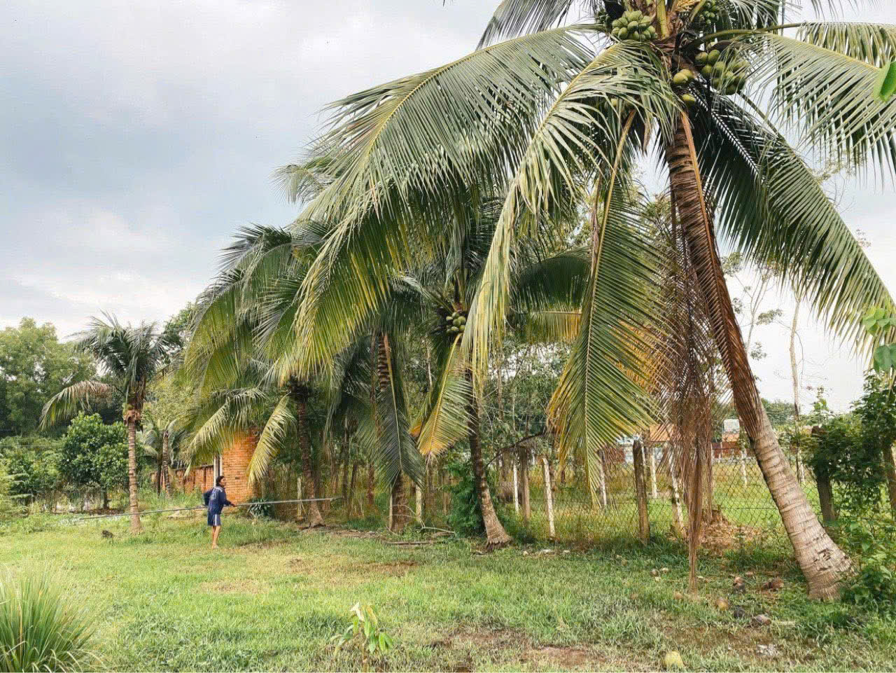 z7437342718402_9ba677b65ebb41961865e70e2fc6aa38