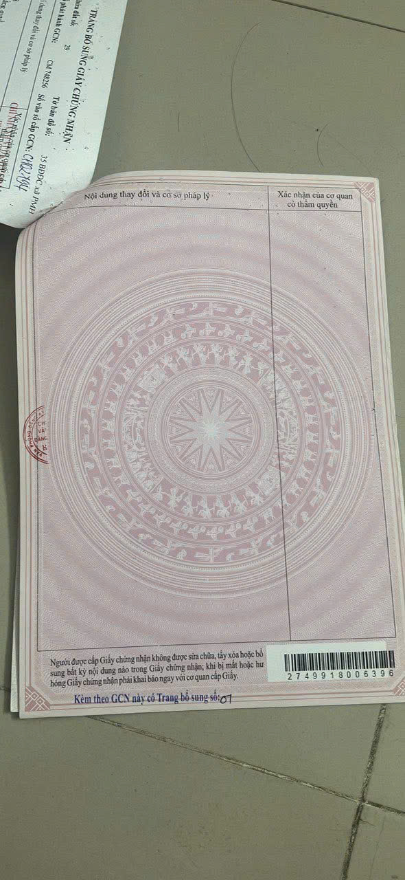 z7437342736560_e1156683ae79448a2977071ec7cab4eb