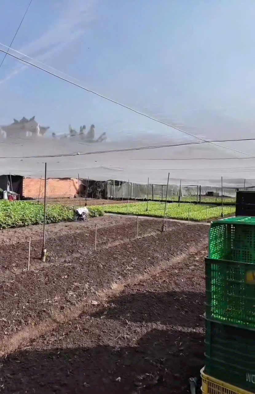 z7470772054481_a2169e675313a118004f2d5cfe76d142