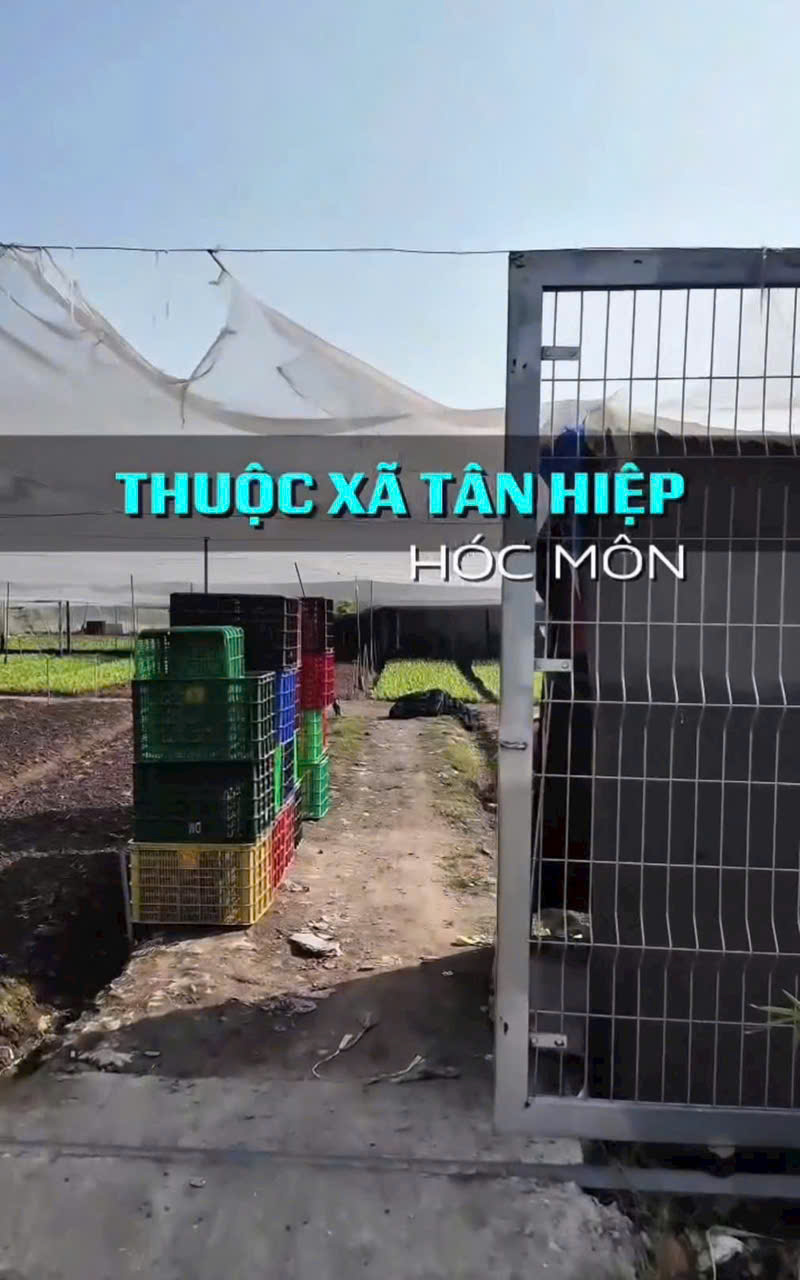 z7470772084384_cad1c0105ab3e299f06e577ee086edfe