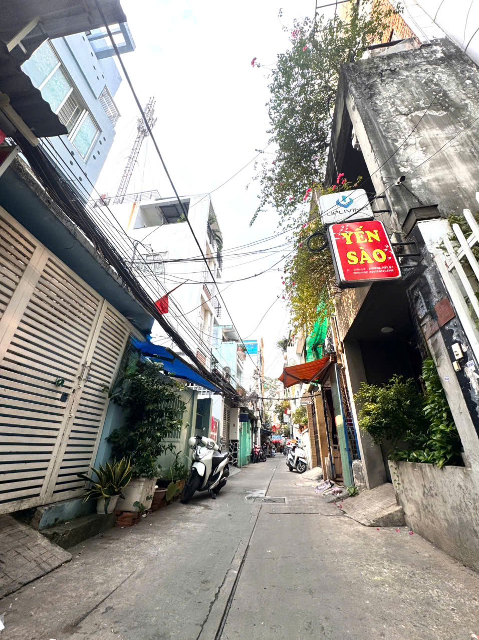 z7471605145588_562e2a0922fc7fff700b02c512cab4fc