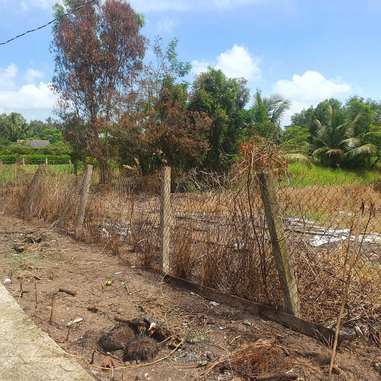 z7487982216101_da5972e0b281ac5933c037adda595b1c