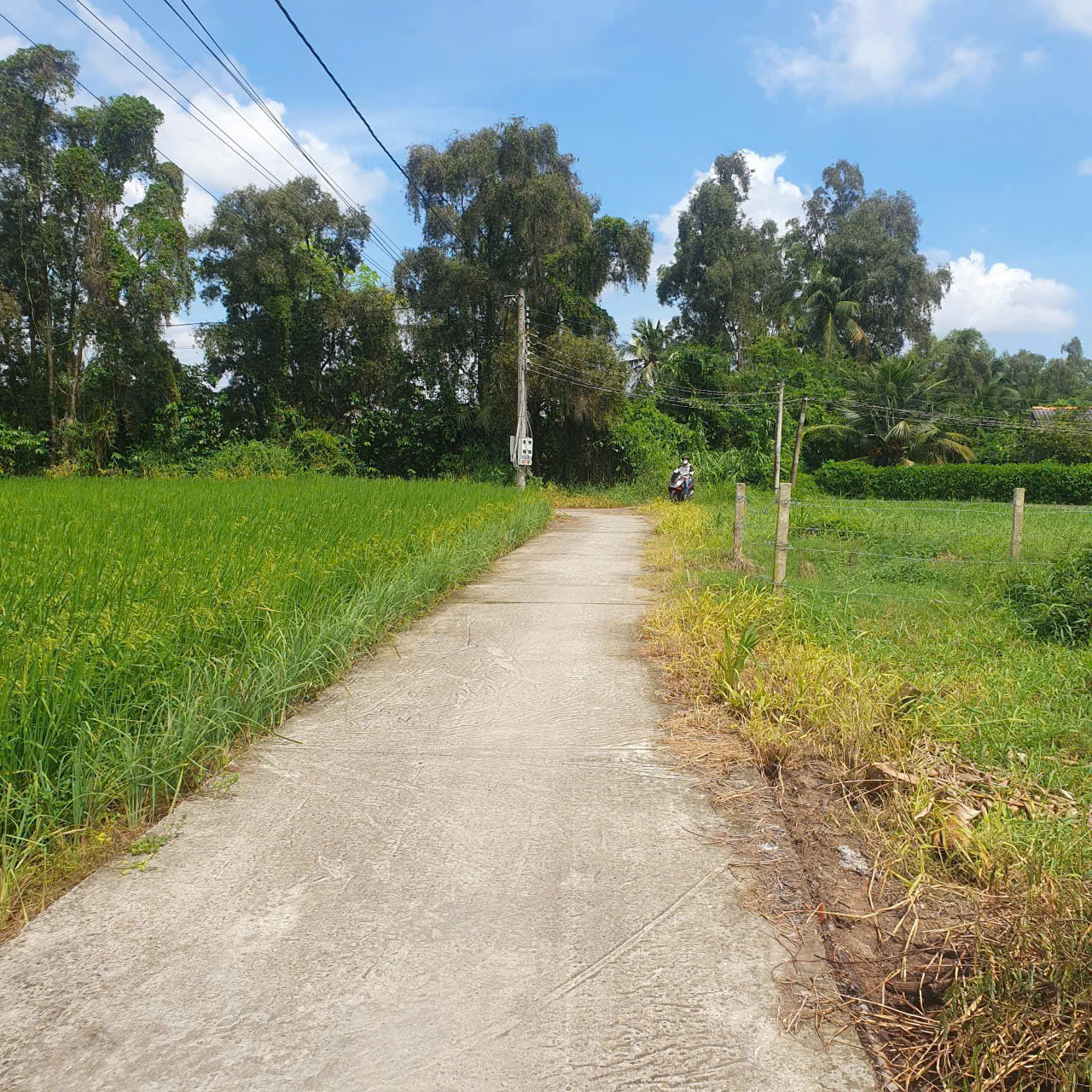 z7487982224972_c22f99d60bc3a592ab6f8bf53d9fda48