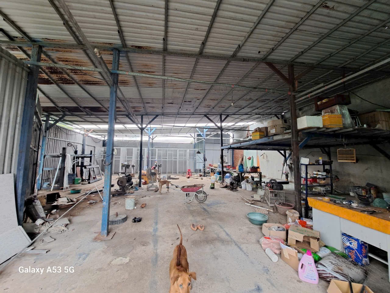 z7489629893861_77ef11eda47a18051feb7216202caa04