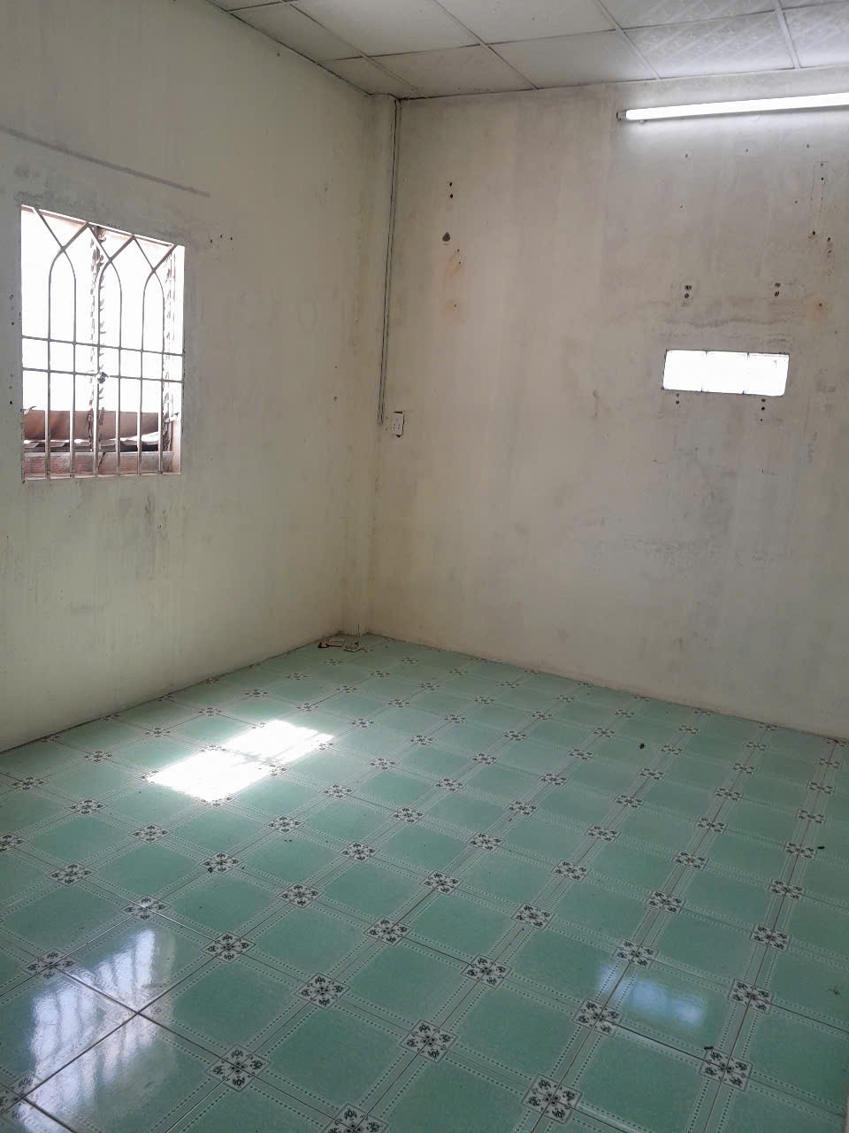 z7490216697787_293eec806749935ec184aa4b81da0392