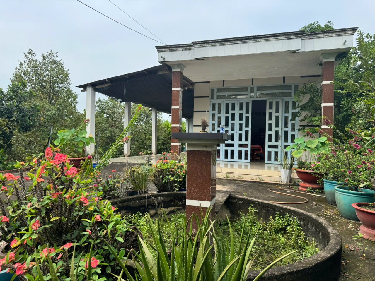 z7492266230487_e8b1f4b179fc9b950e4eced1bedccc3d