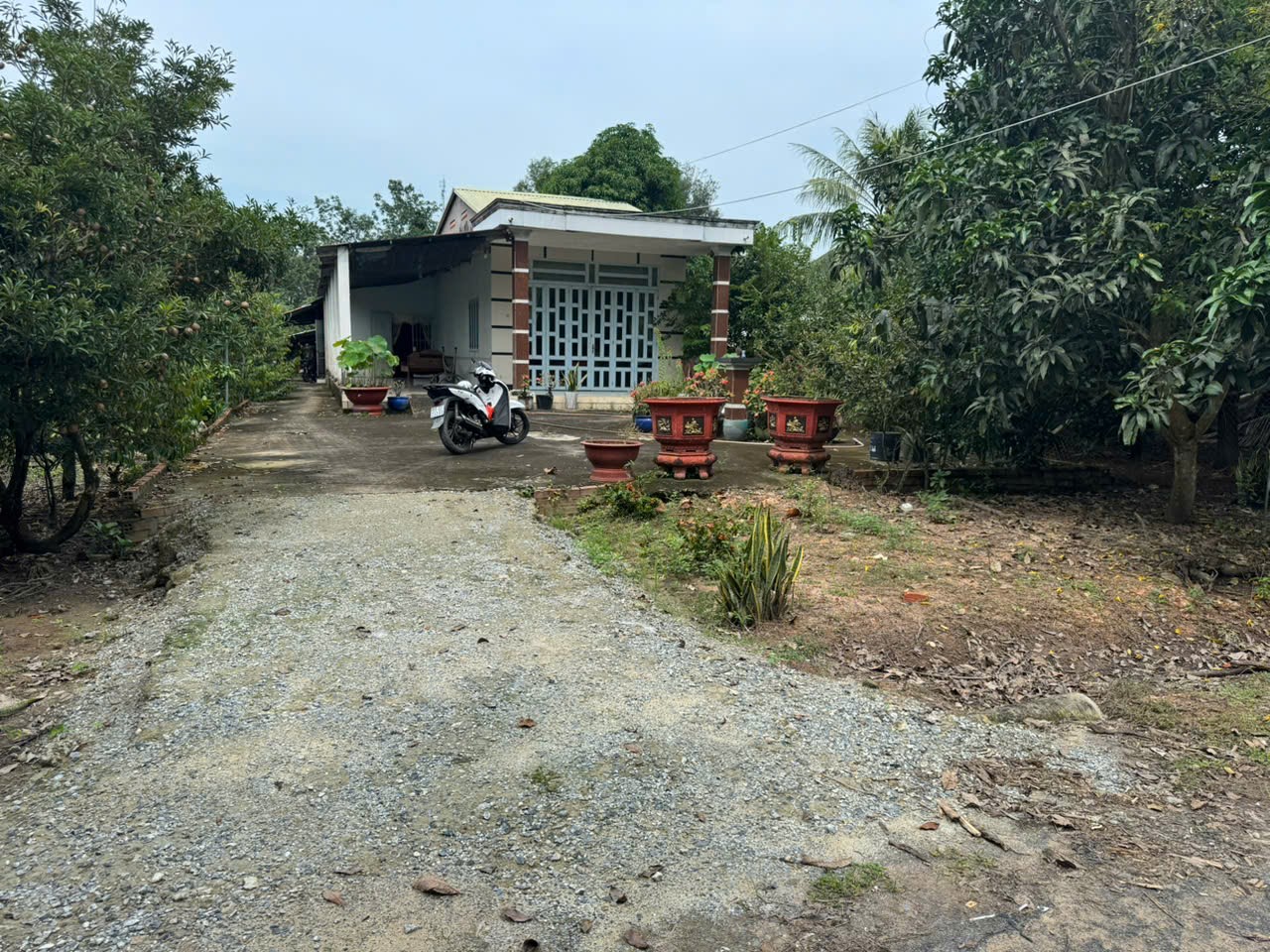 z7492266240362_67d8ba280a235da3a9370e7edbe63b78