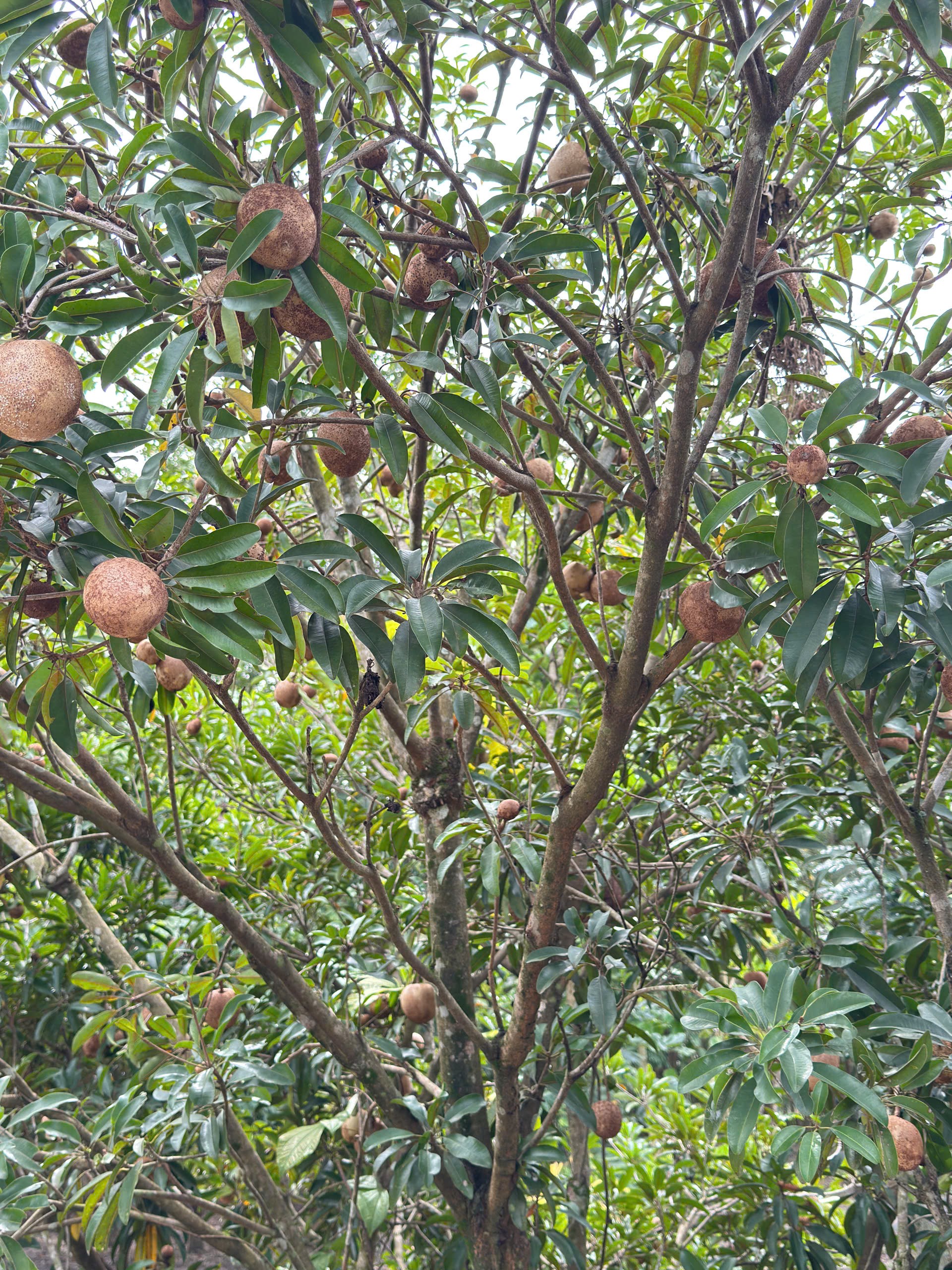 z7492266990626_48c4e44234df71399699b33ffd2e1e5e